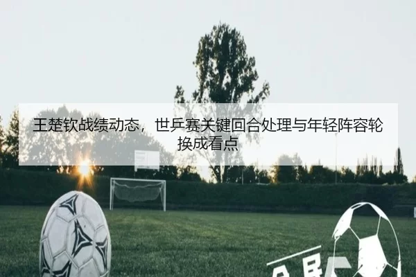 wang-chu-qin-zhan-ji-dong-tai-shi-ping-sai-guan-jian-hui-he-chu-li-yu-nian-qing-zhen-rong-lun-huan-cheng-kan-dian-3-689.jpg